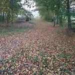 Nordborg Vaerelser Hejnsvi