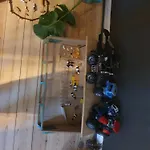 Nordborg Vaerelser Hejnsvi カントリーハウス Hejnsvig
