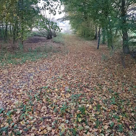 Nordborg Vaerelser Hejnsvi