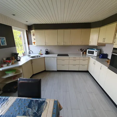 Nordborg Vaerelser Hejnsvi *