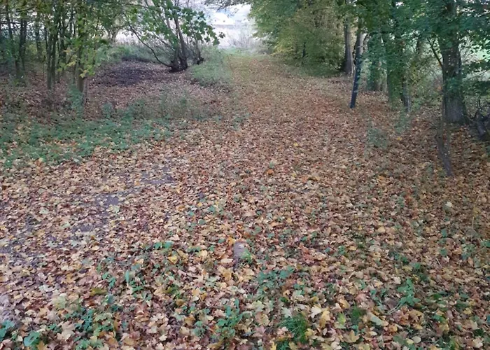 Nordborg Vaerelser Hejnsvi